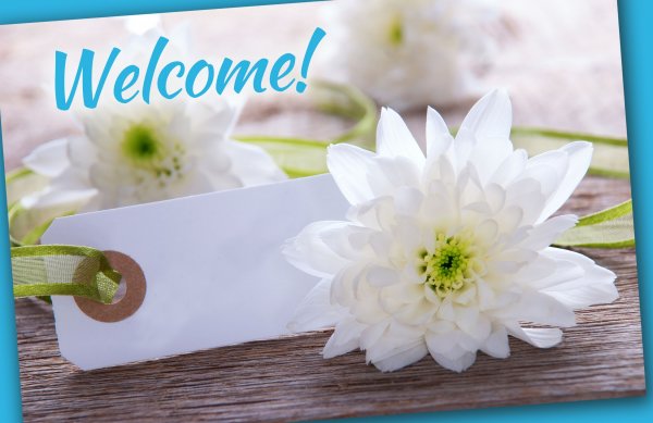 Добро пожаловать (Welcome)