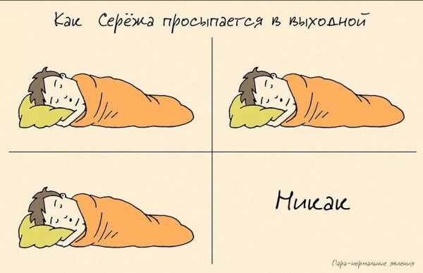 Приколы про Сережу смешные картинки