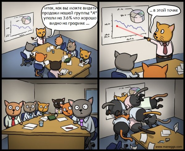 Котики на совещании