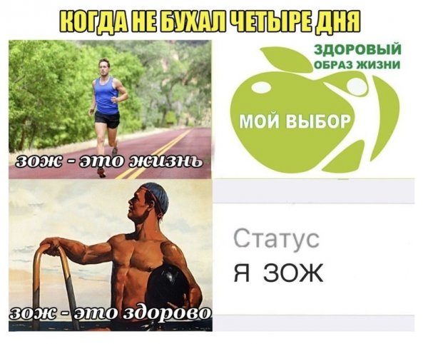 Мемы про ЗОЖ