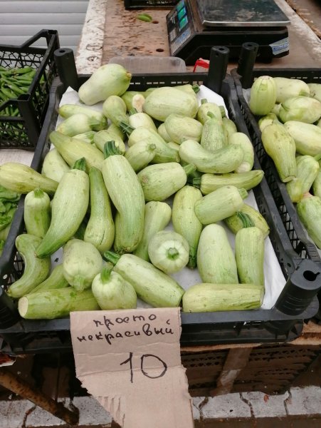 Овощ кабачок юмор