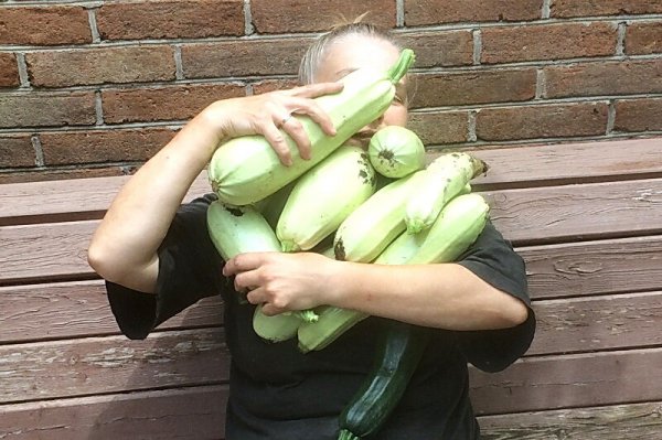 Качок кабачок