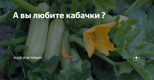 Гигантский огурец