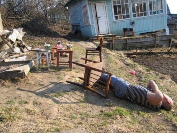 Приколы про дачу