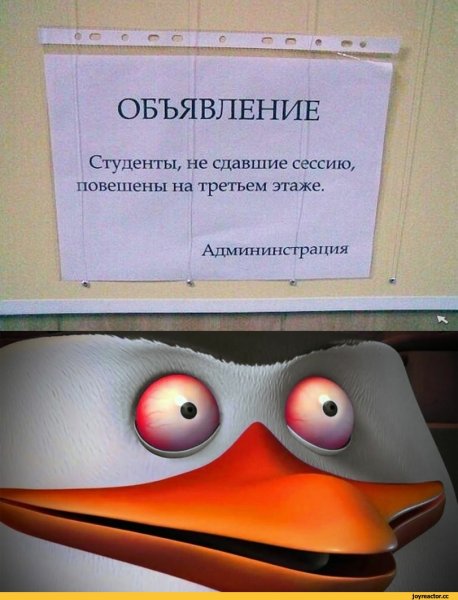Смешные анекдоты про студентов
