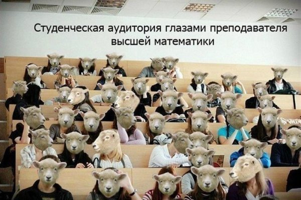 Студенческая аудитория глазами преподавателя высшей математики