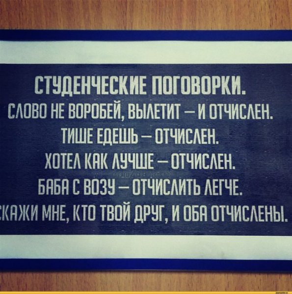 Смешные цитаты про студентов
