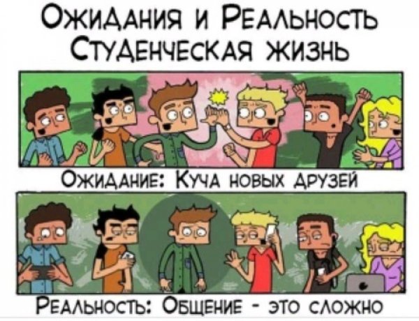 Шутки про студенческую жизнь
