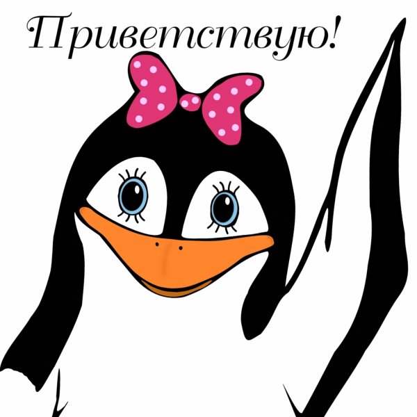 Открытки приветик