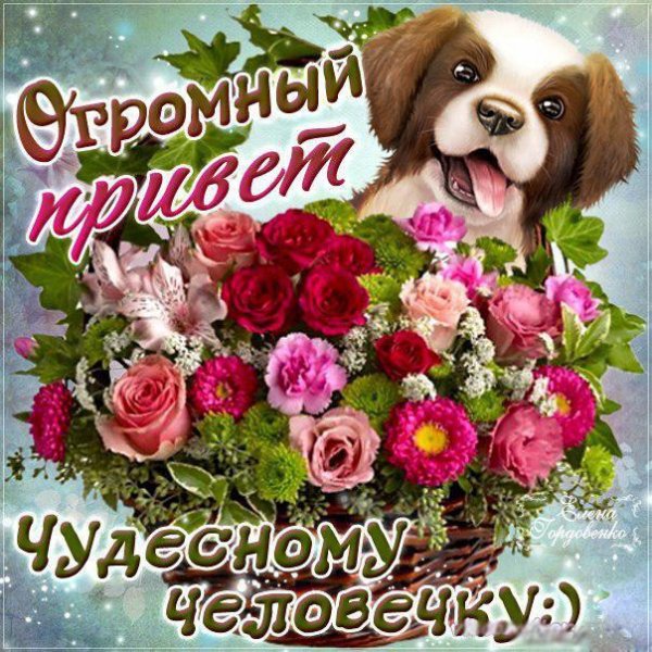 Прикольные анимированные картинки
