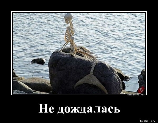 Не дождётесь картинки