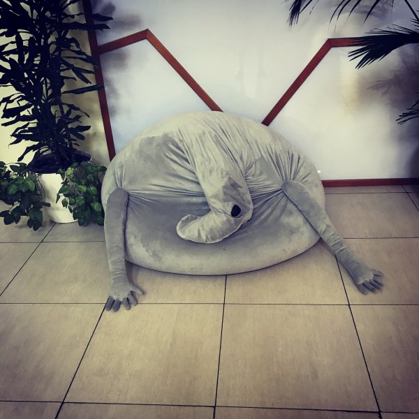 Ждун приколы