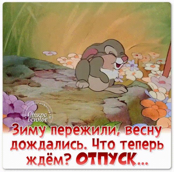 Хатико я жду