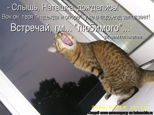 Жду картинки смешные