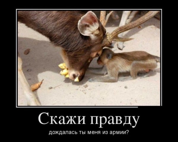 Зимнее утро демотиваторы