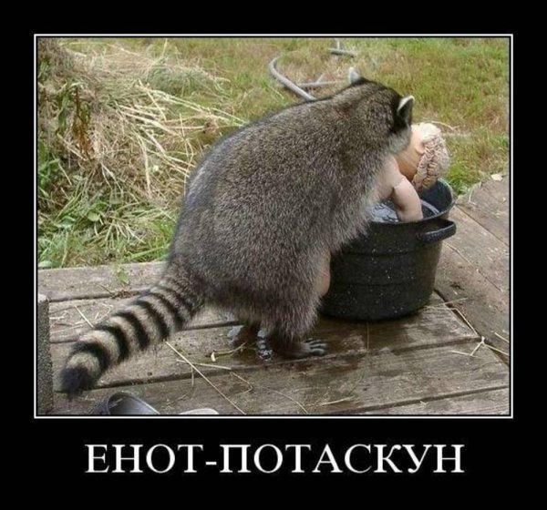 Не дождётесь картинки