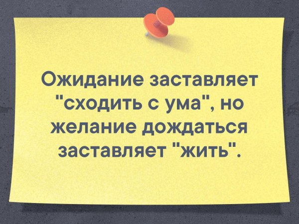 Ждун дождался