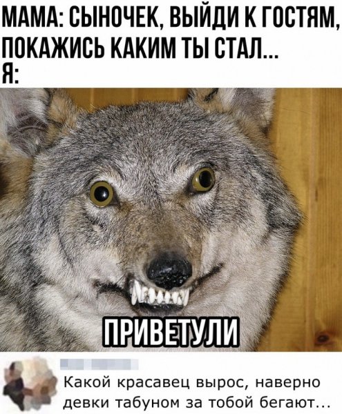 Открытки с обезьянами