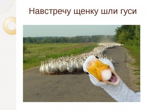 Привет картинки прикольные