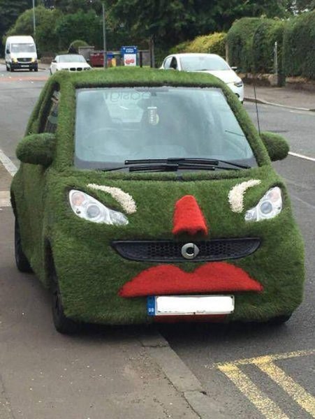 Животные в автомобиле