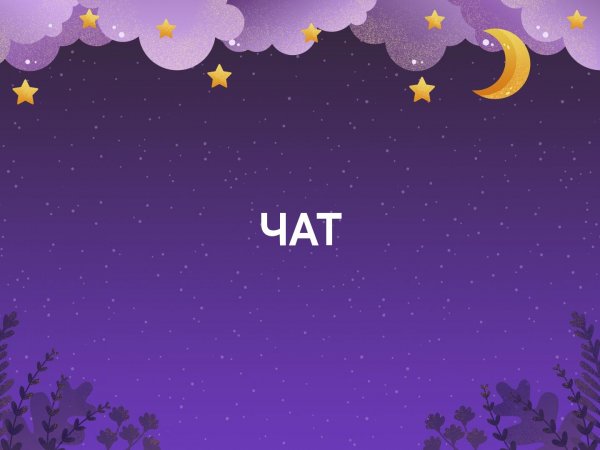 Вечерний чат