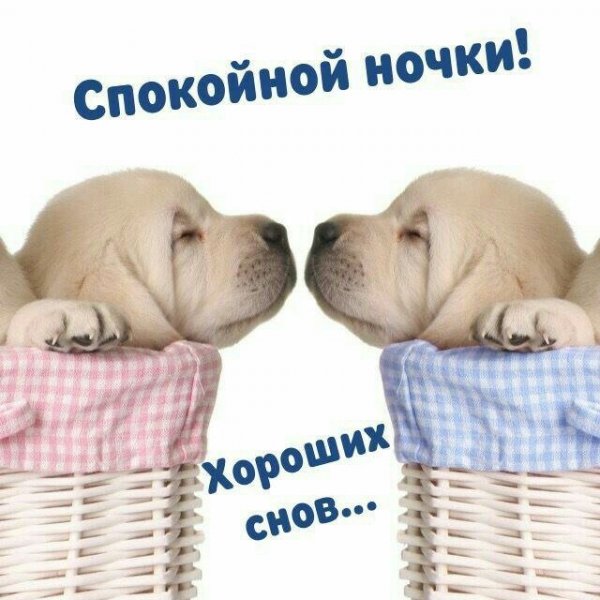 Споки ноки