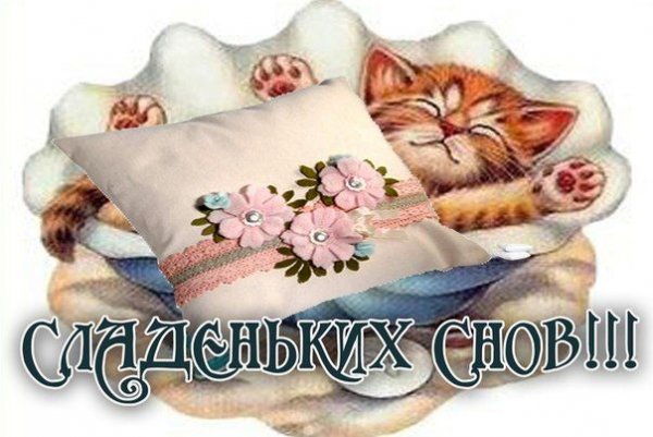 Мягкой подушки и сладких снов