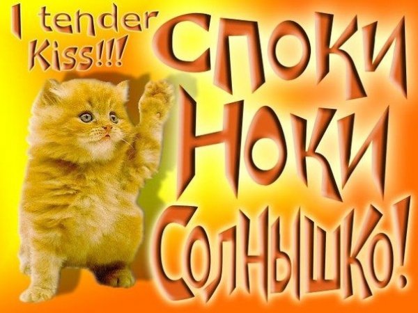 Открытки споки ноки прикольные