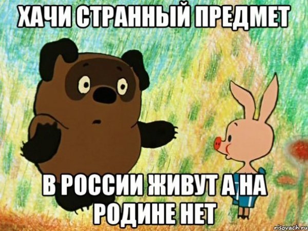 Винипух приколы