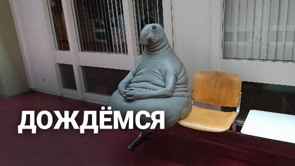 Ждун почта России