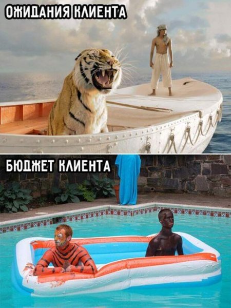 Ожидания заказчика и реальность