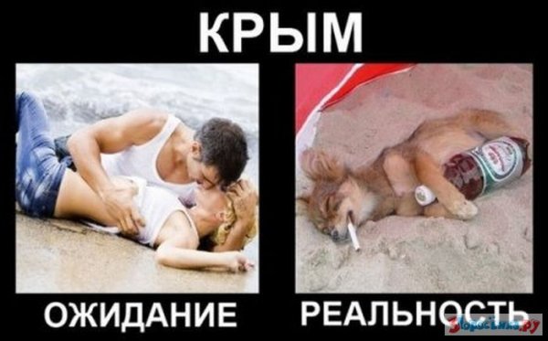 Прикольные картинки ожидание и реальность