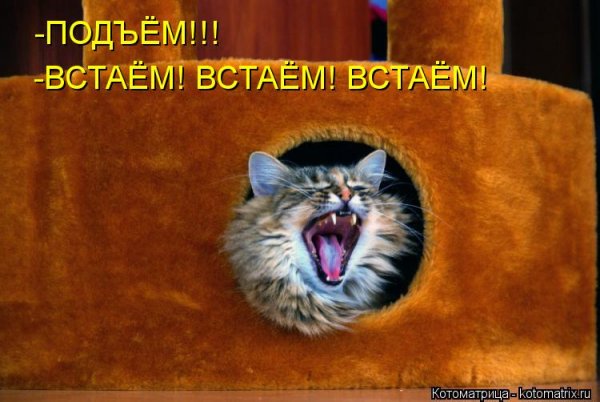 Подъем доброе утро