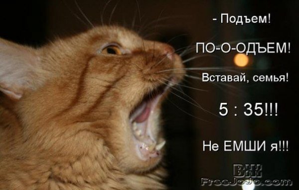 Ты мой маленький хорошенький мой котик
