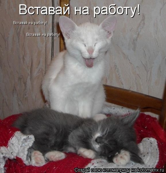 Просыпайся пора на работу