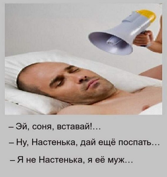 Просыпайся Соня