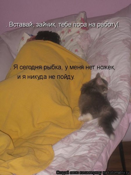 Пора просыпаться