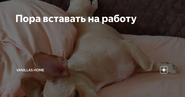 Пора вставать доброе утро