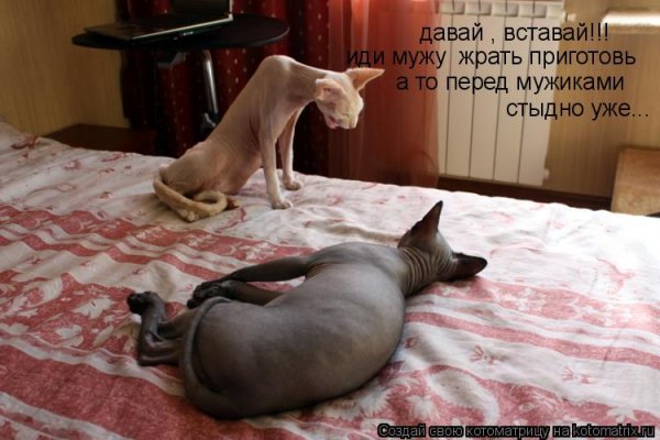 Утро пора спать