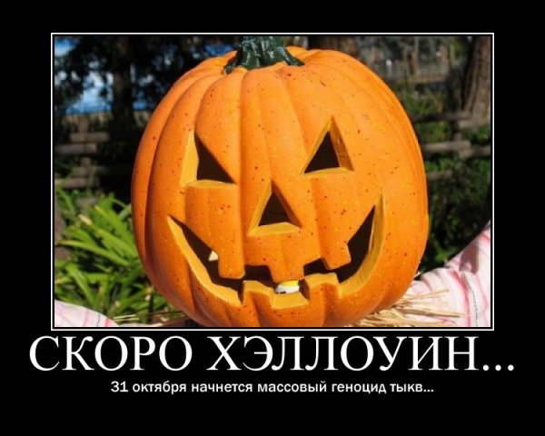 Самая смешная тыква