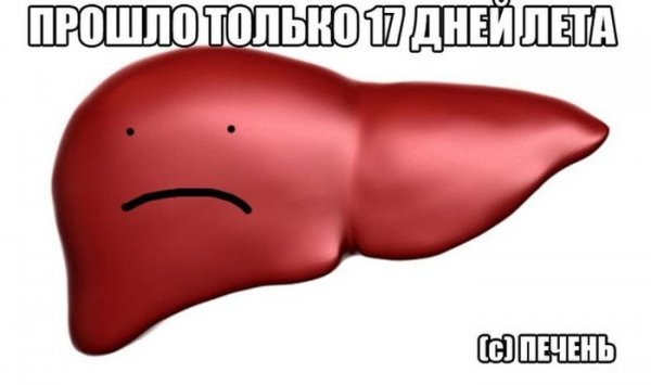 Печень Мем