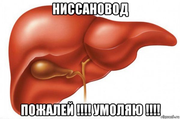 Печень Мем