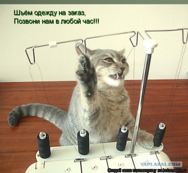 Смешная швея