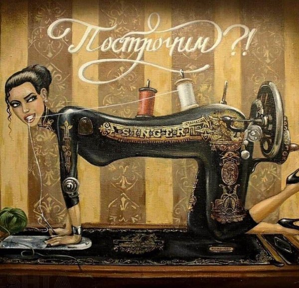 Кот и швейная машинка