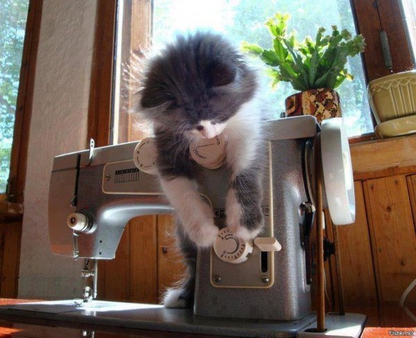 Прикольная швея