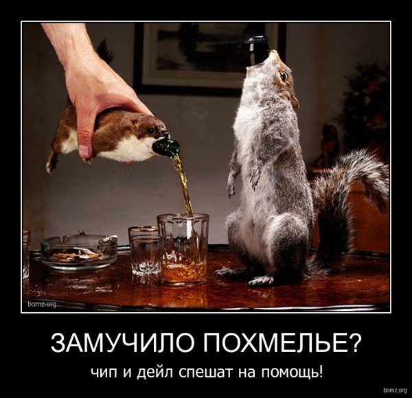 Новогоднее похмелье юмор