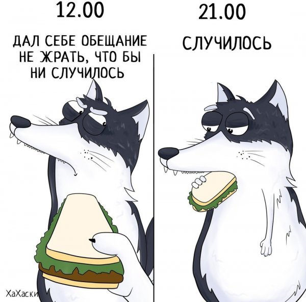 Хаски комикс