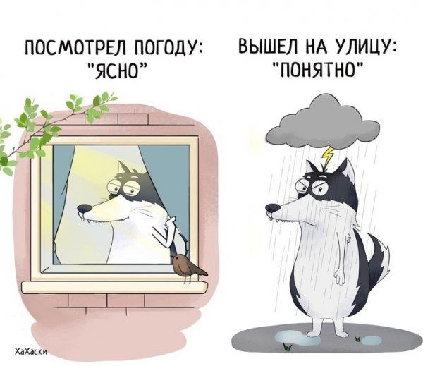 Хахаски комиксы