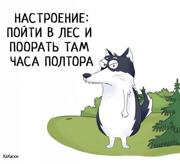 Хахаски комиксы