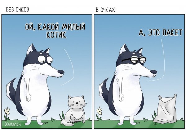 Хахаски Карл